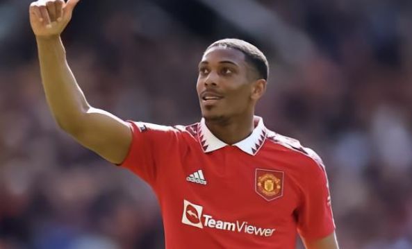 热情的绽放 热情的绽放